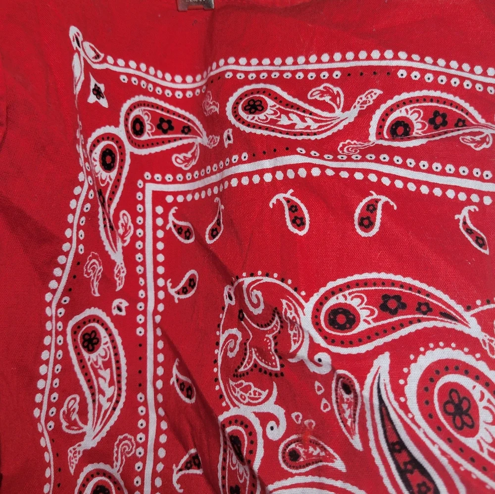 Bundle 2 bandanas